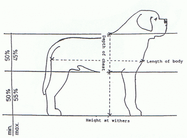 The Breed Standard